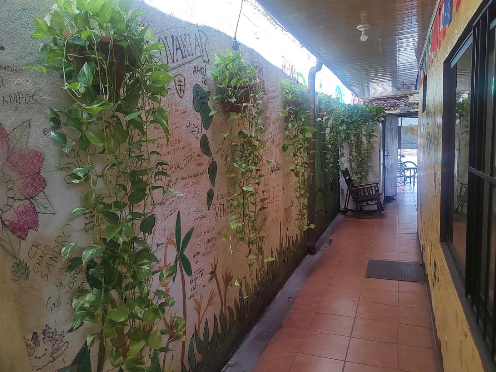 Hostel Pura Vida En Либерия Экстерьер фото